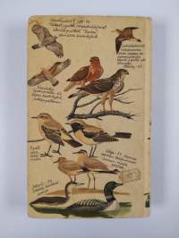 Euroopan lintuopas : maastokäsikirja