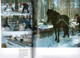 Kärsämäen paanukirkko