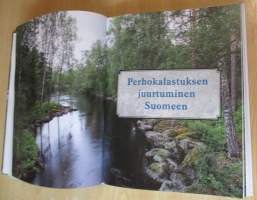 Perhokalastuksen kiehtova maailma