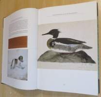 Korven kultainen kuningas : Pedot ja turkiseläimet veljekset von Wrightin ja aikalaisten kuvaamina