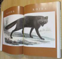 Korven kultainen kuningas : Pedot ja turkiseläimet veljekset von Wrightin ja aikalaisten kuvaamina