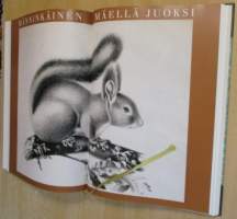 Korven kultainen kuningas : Pedot ja turkiseläimet veljekset von Wrightin ja aikalaisten kuvaamina