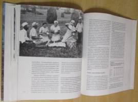 Kakskerta 2 - Saaret, ihmiset, vaiheet