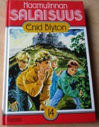 Haamulinnan salaisuus N:o 14