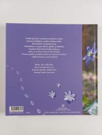 Vivasen perhe ja jouluvieras