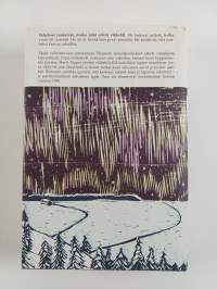 Näin syntyvät revontulet