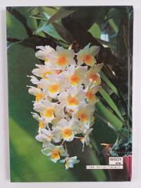 Kodin kukat : Orkideat 1-2