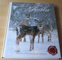 Lumoava Joulu - ideoita tunnelmalliseen jouluun