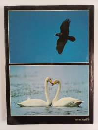 Kuukkelin maa : luontokuvaajan vuosi Kuusamossa