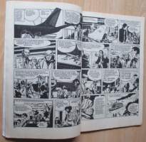 Mustanaanio N:o 11 1981