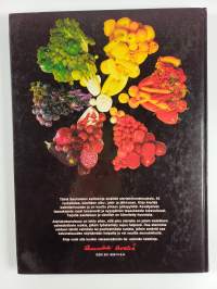 Menu 3 : Saarioisten keittokirja