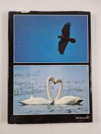 A year in Kuusamo : diary of a Finnish bird photographer