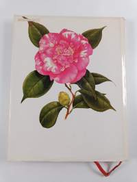 The camellia : fifty-three paintings by Peter Longhurst