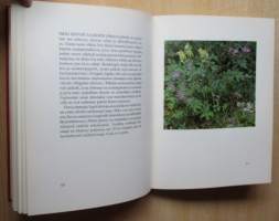 Kevo - Lapin luonnon tutkimuspaikka