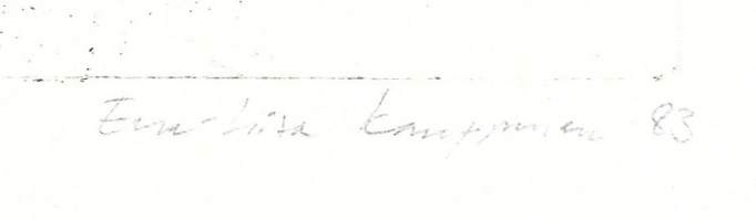 Eeva-Liisa Kauppinen,  signeerattu grafiikka -83 kehystämätön 25x20 cm