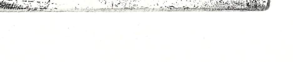 Eeva-Liisa Kauppinen,  signeerattu grafiikka -85 kehystämätön 20x25cm