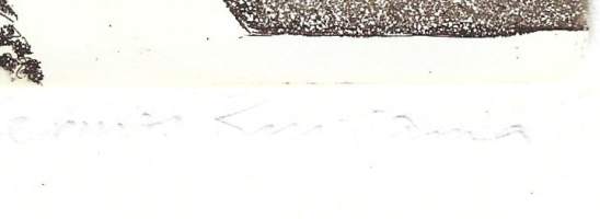 Hermes Kuusama, "Puutarhatontti"  signeerattu grafiikka  2/10 kehystämätön 20x25cm