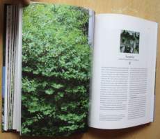 Puutarhan koristepensaat