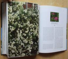 Puutarhan koristepensaat