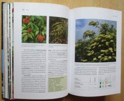 Puutarhan koristepensaat