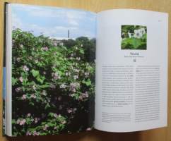 Puutarhan koristepensaat