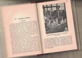 Kananhoidon opas.  (Maatalous, siipikarja)