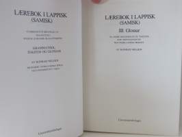Lærebok i lappisk (samisk) III - Glossar