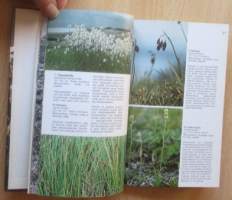 Tuntureiden kasveja ja eläimiä