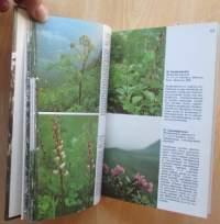 Tuntureiden kasveja ja eläimiä