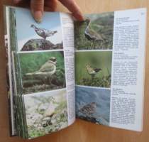 Tuntureiden kasveja ja eläimiä