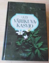 Uusi värikuvakasvio