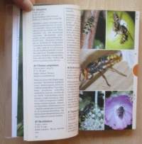 Ötökät - tunnistusopas, 445 lajia