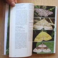 Ötökät - tunnistusopas, 445 lajia