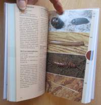 Ötökät - tunnistusopas, 445 lajia