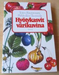 Hyötykasvit värikuvina