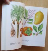 Hyötykasvit värikuvina