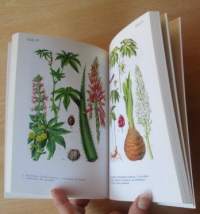 Hyötykasvit värikuvina