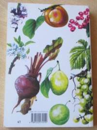 Hyötykasvit värikuvina