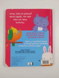 Koira ja kaverit piilosilla : kurkistuskirja