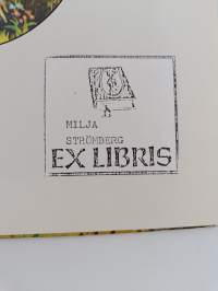 Heidi : Jane Carruthin kertomana