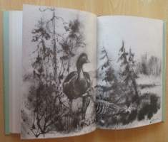 Kertomuksia saloilta - erätulilta -82