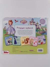 Prinsessan oppitunnit