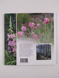 Sanan ja virvoituksen lähteille 2