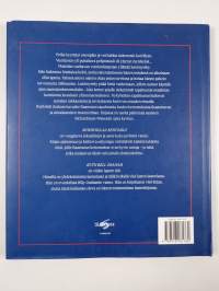 Myrskyillan kertomus