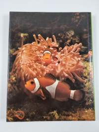 Valtamerien eläimiä : mereisen elämän ekologiaa