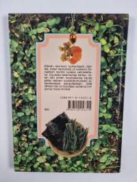 Elävän ravinnon ruokaohjeita