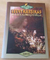 Metsänpiika erätarinoita ja luontoesseitä