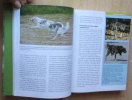 Koirien käyttäytyminen