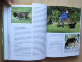 Koirien käyttäytyminen