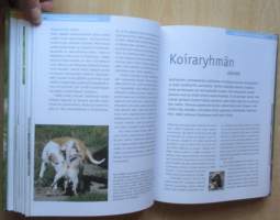 Koirien käyttäytyminen